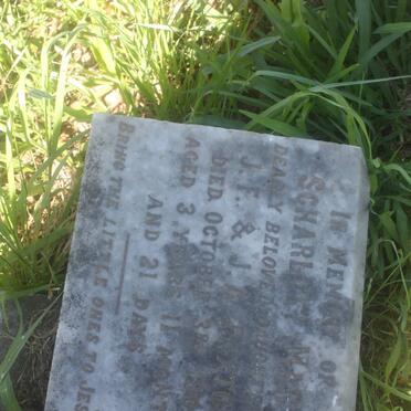 PAXTON Scharlott Mary -1900