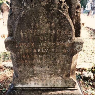 RISLEY Annie Josephine -1880