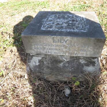 RAMSTORNE Lily 1852-1889