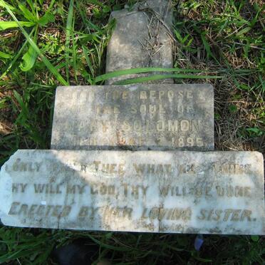 SOLOMON Mary -1895