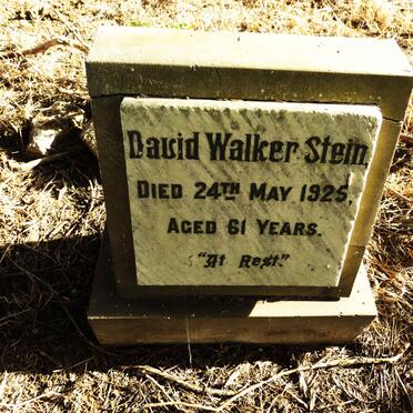 STEIN David Walker -1925