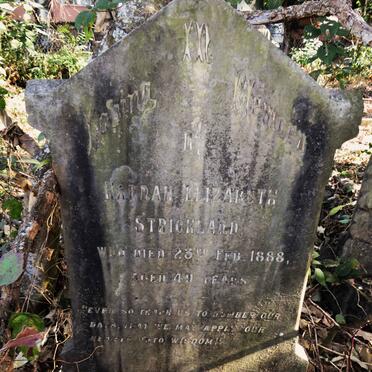 STRICKLAND Hannah Elizabeth -1888