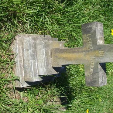 TOMASSI A. Sydney 1919-1920