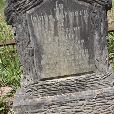 WILLSON Lolette -1929