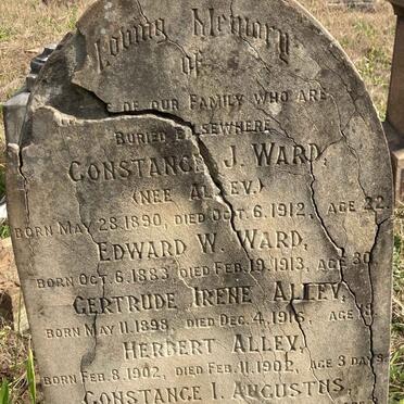 WARD :: ALLEY :: AUGUSTUS