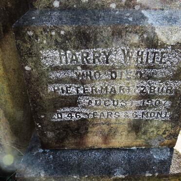 WHITE Harry -1907
