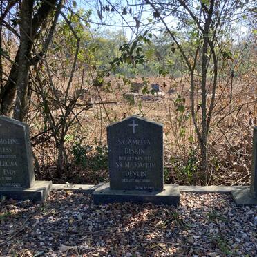 DISKIN Amelia -1977 :: DEVLIN M. Joachim -1986