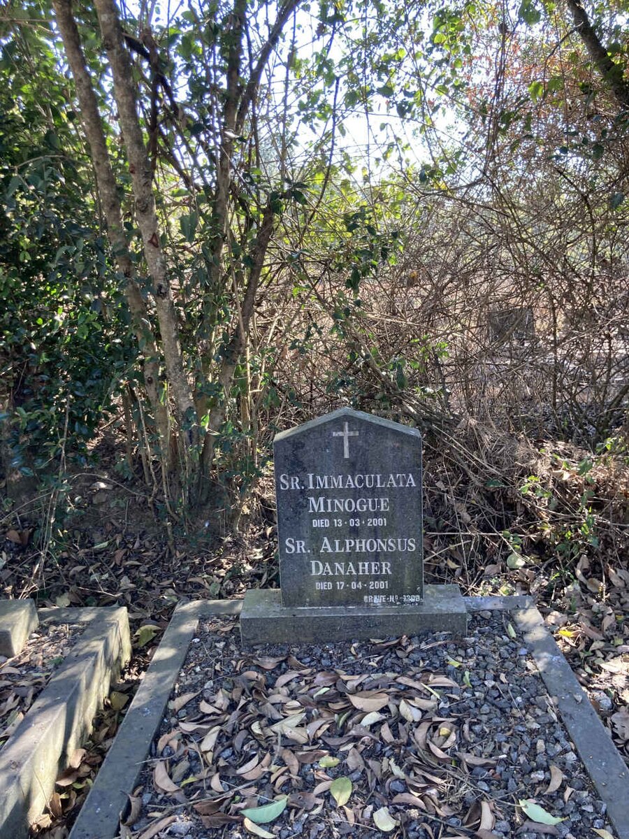 MINOGUE Immaculata -2001 :: DANAHER Alphonsus -2001