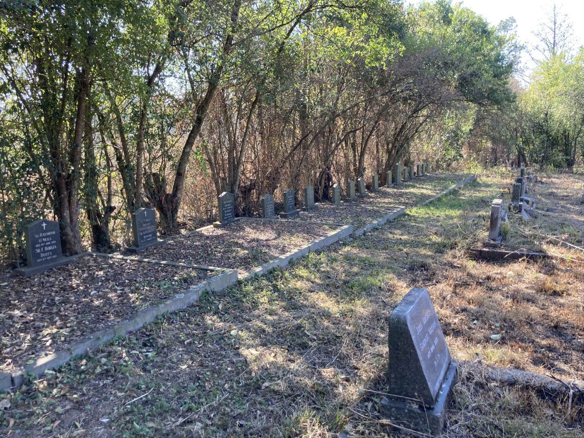 1. Overview of the Sisters of  the Holy Family