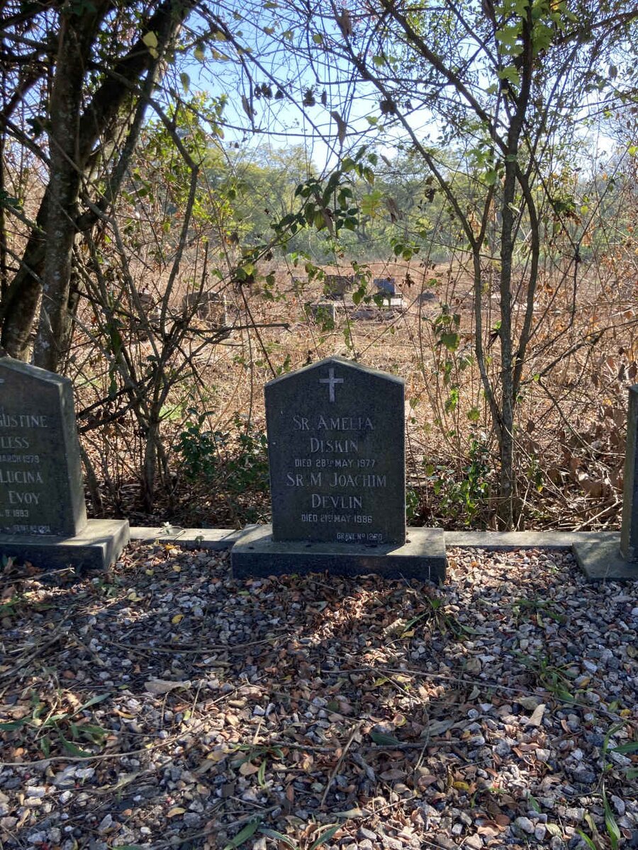 DISKIN Amelia -1977 :: DEVLIN M. Joachim -1986