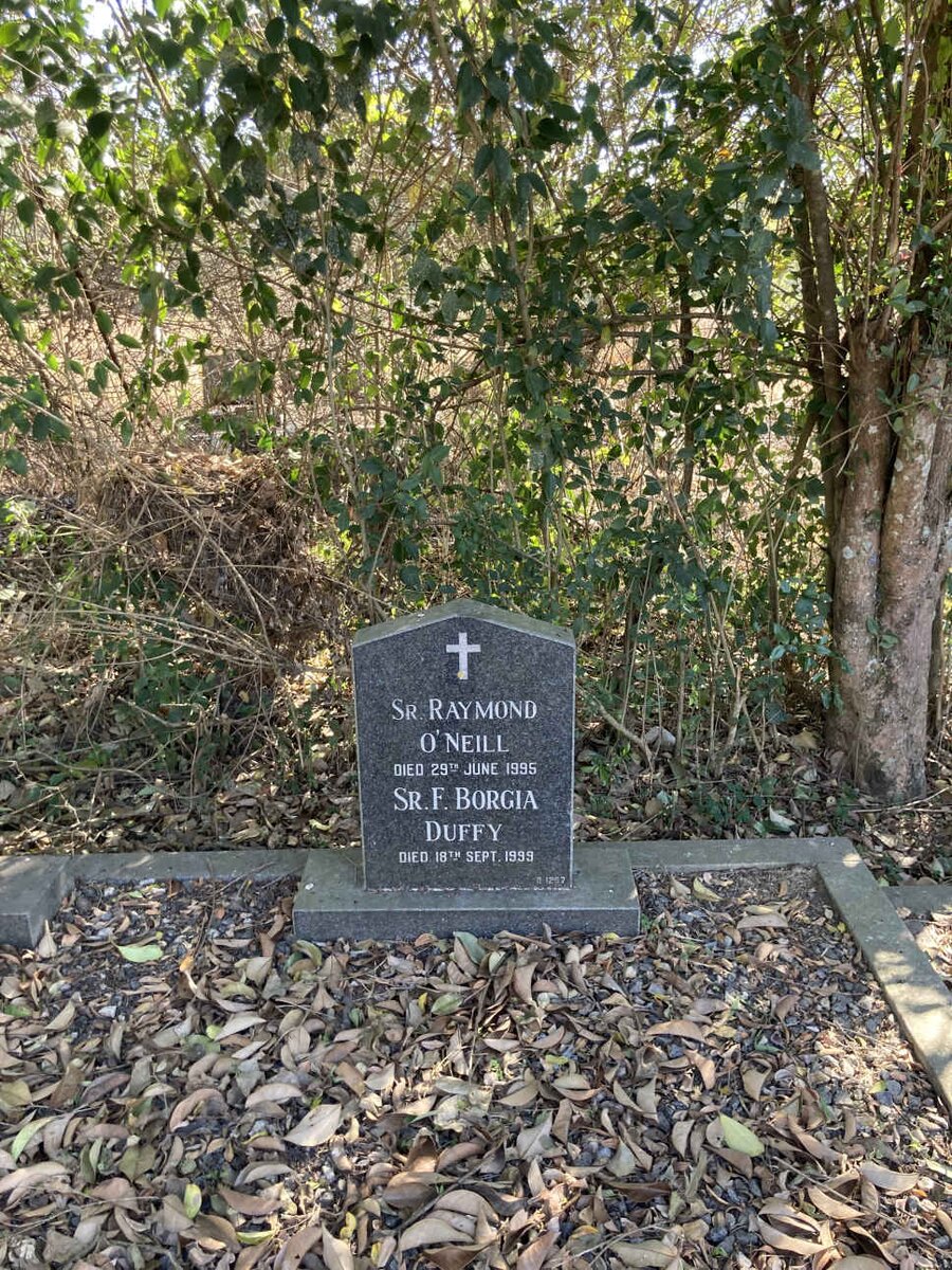 ONEILL Raymond -1995 :: DUFFY F. Borgia -1999