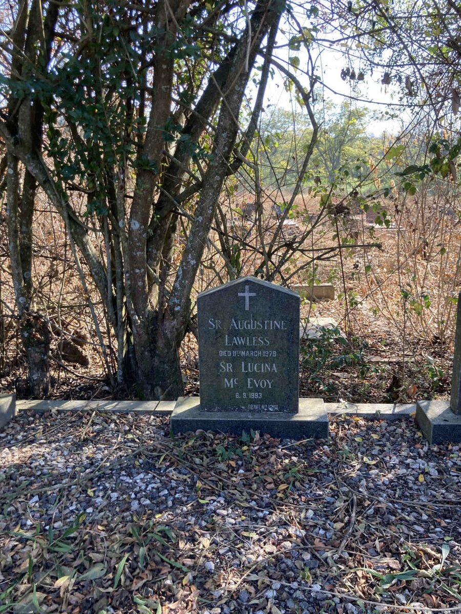 LAWLESS Augustine -1979 :: MCEVOY Lucina -1993