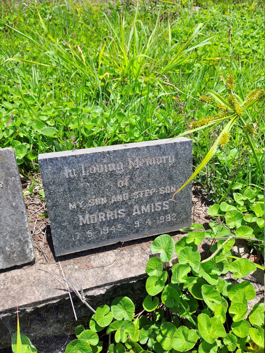 AMISS Morris 1945-1982