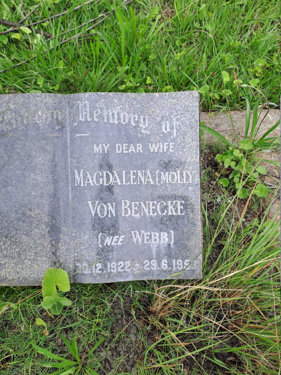 BENECKE Magdalena, von nee WEBB 1922-1953