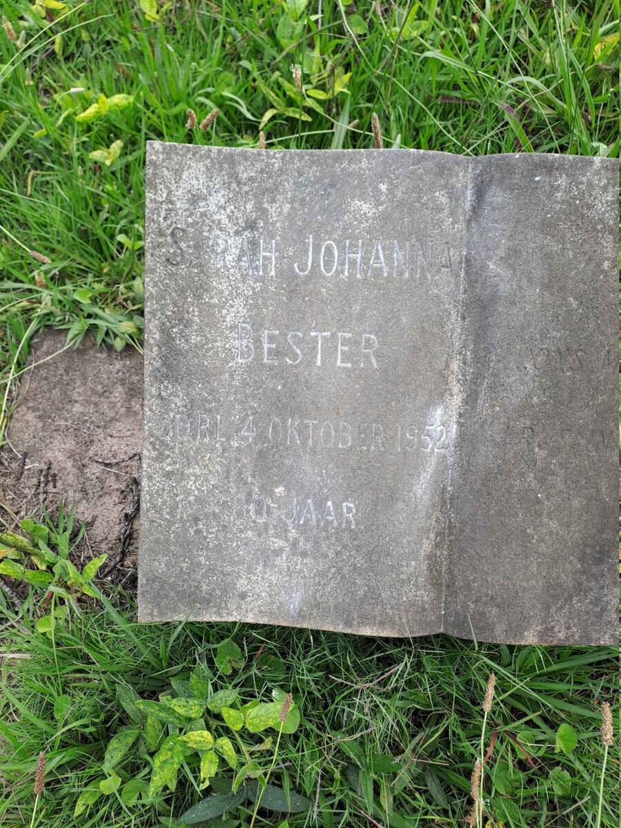 BESTER Sarah Johanna -1952
