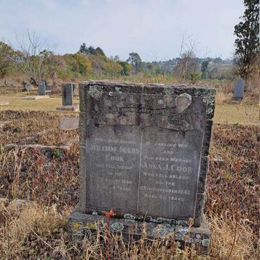 COOK William Sulby -1954 & Anna J. -1942