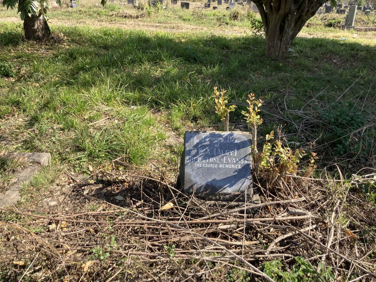 EVANS B.A., SHEPSTONE-