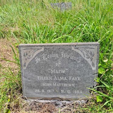 FAYE Eileen Alma nee MATTHEWS 1917-1964