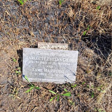GILROY Charlotte Evelyn 1869-1954 :: HILL Esme Mary 1899-1953