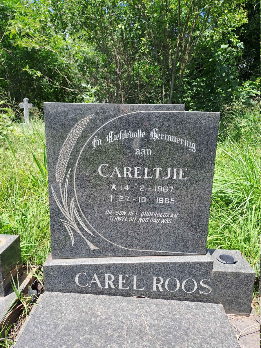 ROOS Carel 1967-1985
