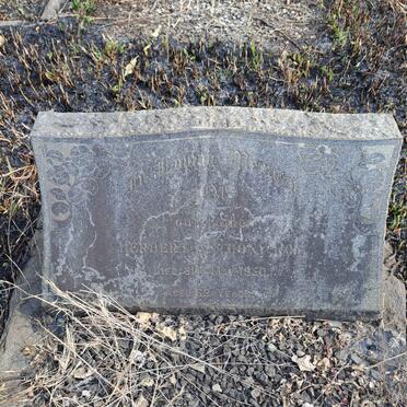 ROY Herbert Anthony -1950