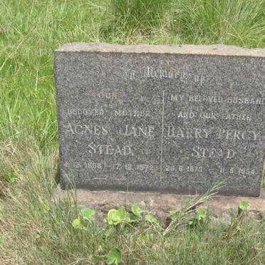 STEAD Harry Percy 1876-1954 &amp; Agnes Jane 1886-1972 