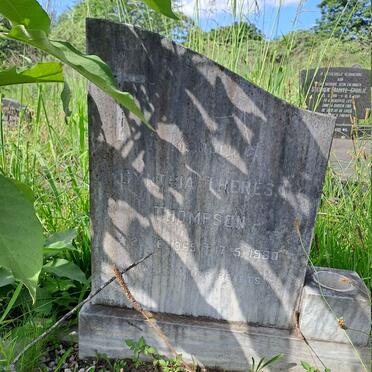 THOMPSON Cynthia Theresa 1965-1980