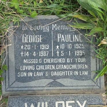 WILDEY :: GREEN :: V.D. BYL_1