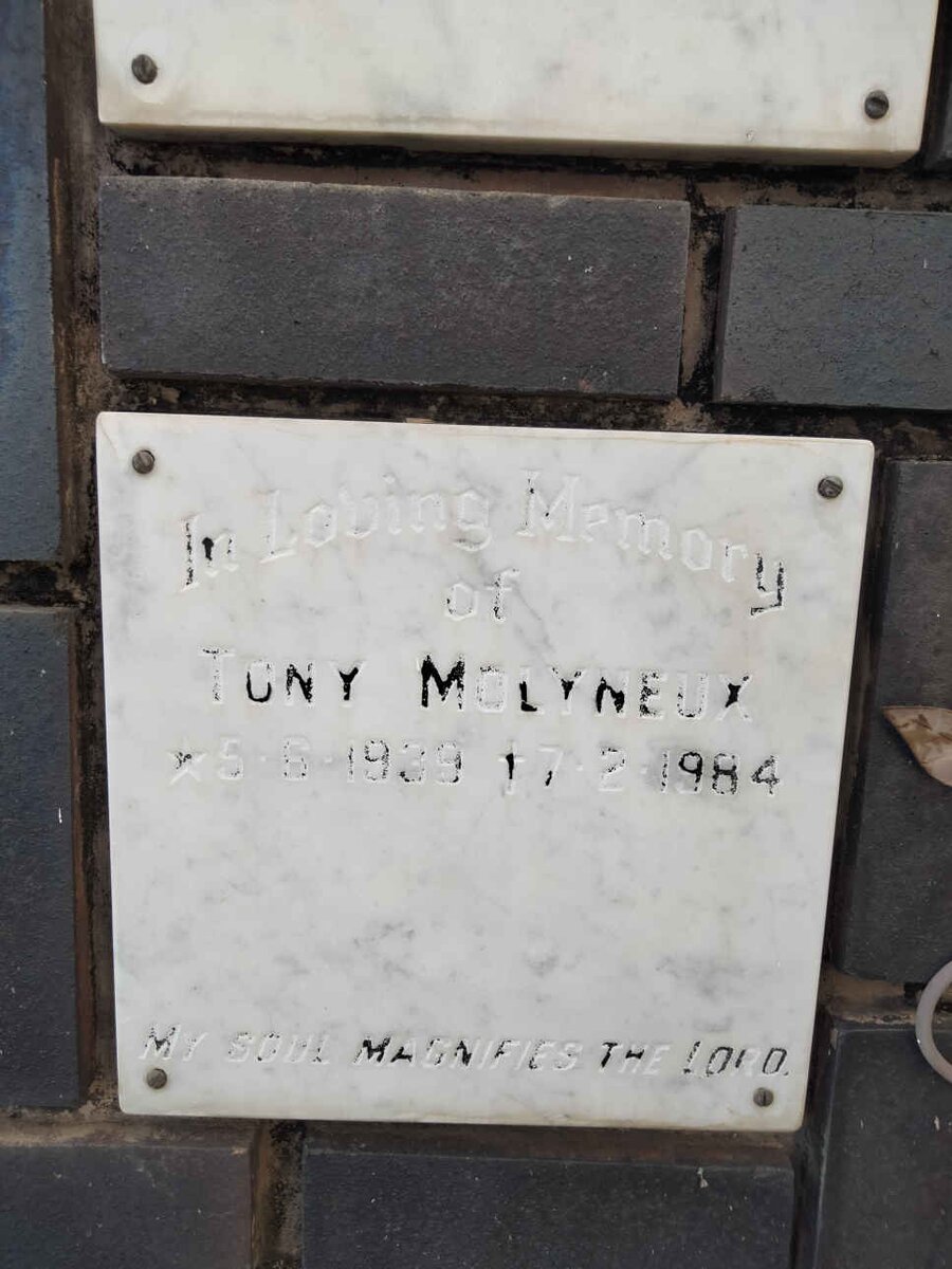 MOLYNEUX Tony 1939-1984