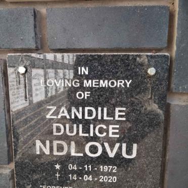 N - Vanne :: Surnames - N