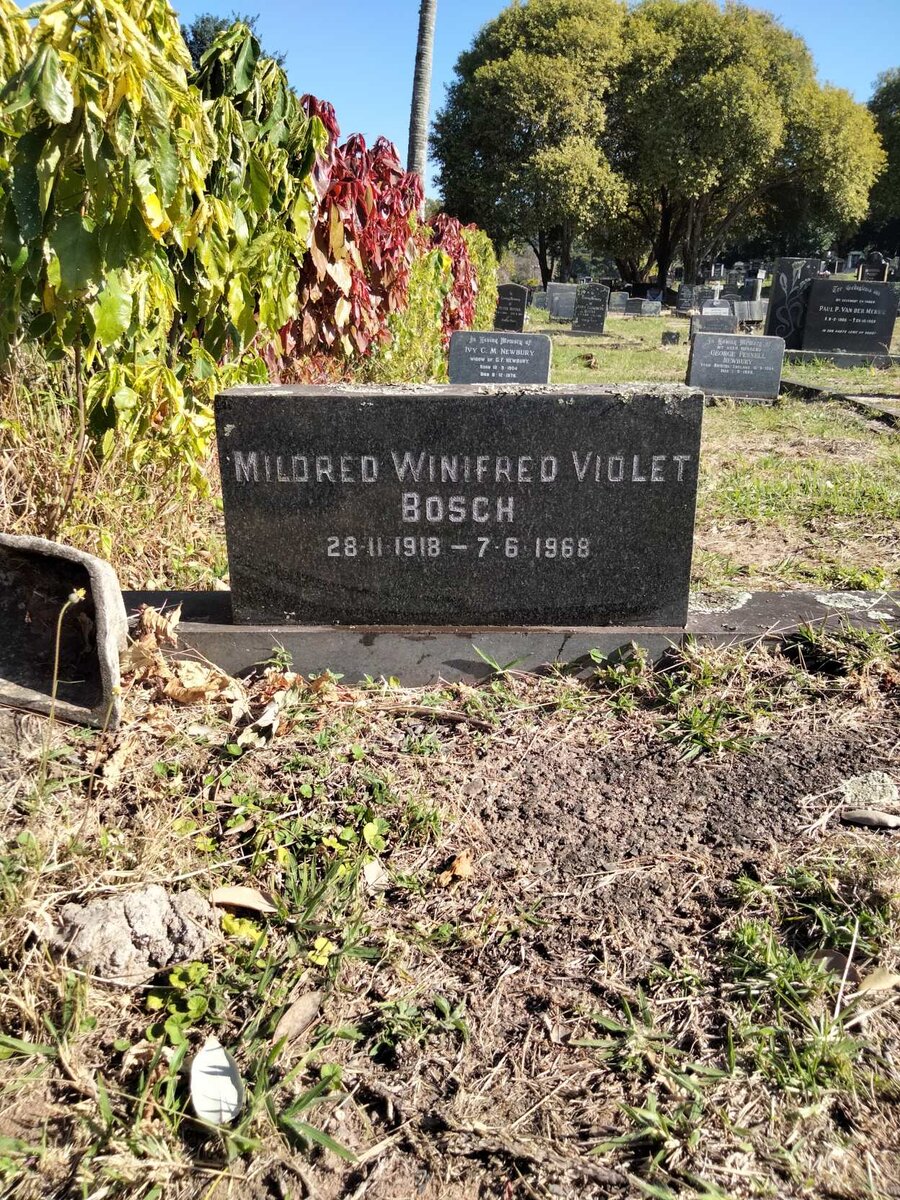 BOSCH Mildred Winifred Violet 1918-1968