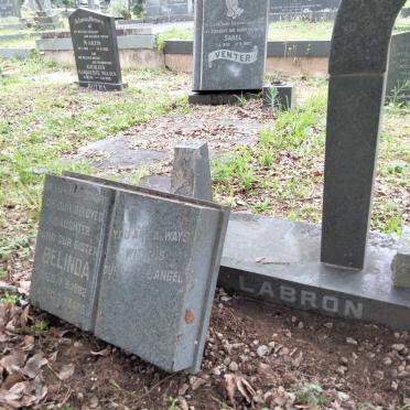 LABRON Belinda -1982