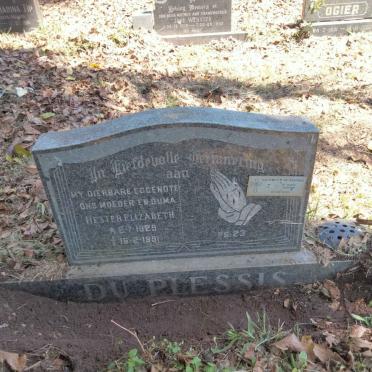 PLESSIS Jacobus P, du 1923-20?? &amp;  Hester Elizabeth 1929-1991