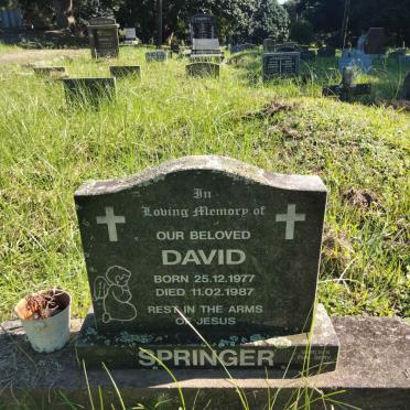 SPRINGER David 1977-1987