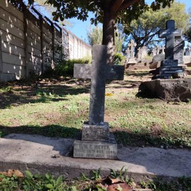 MEYER C.W. 1895-1900