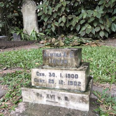 MEYER Alwina A.E. 1900-1902