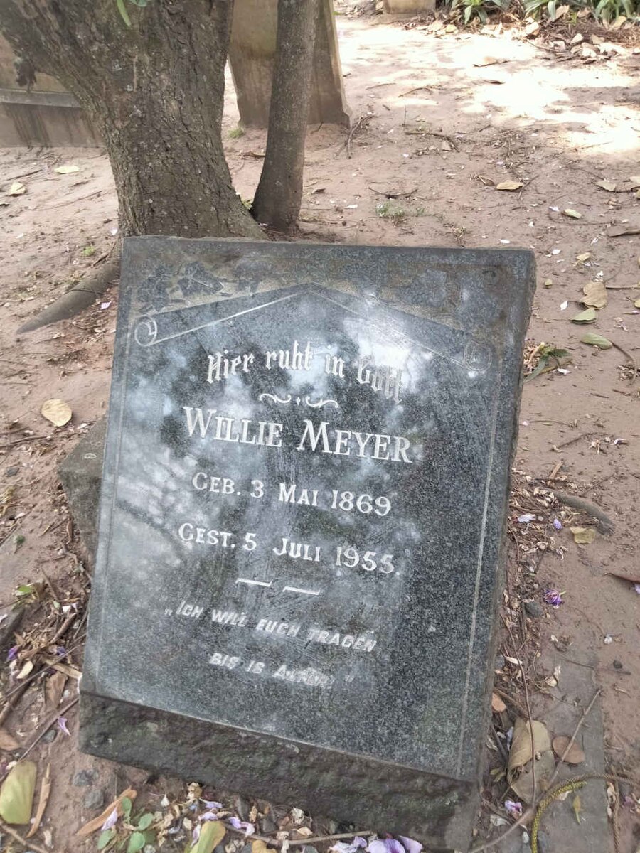 MEYER Willie 1869-1955