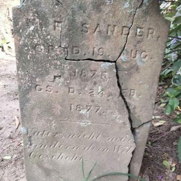 SANDER ?.F. 1876-1877