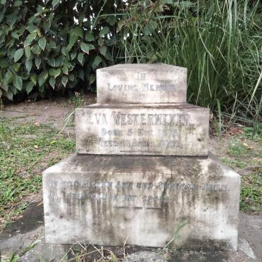 WESTERMEYER Eva 1895-1902