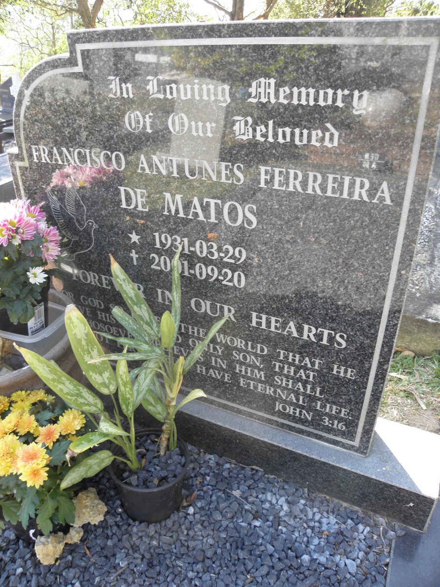 MATOS Francisco Antunes Ferreira, de 1931-2001