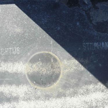 ? Albertus Stephanus