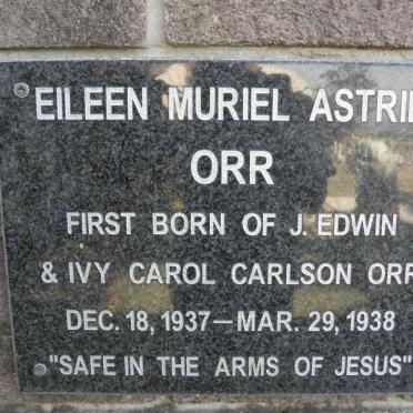 O - Surnames :: Vanne - O