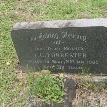 FORRESTER I.C. -1969