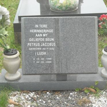 LUDIK Petrus Jacobus nee DE FREAY 1984-2000