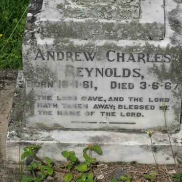 REYNOLDS Arthur William 1935-2010 :: REYNOLDS Caroline Elizabeth nee MOOGIE 1963-2002 :: REYNOLDS Andrew Charles 1961-1967