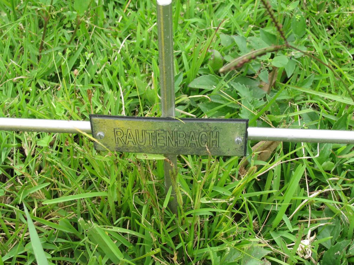 RAUTENBACH