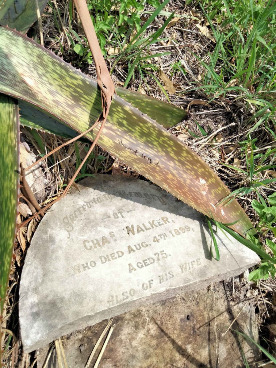 WALKER Charles -1899 & wife