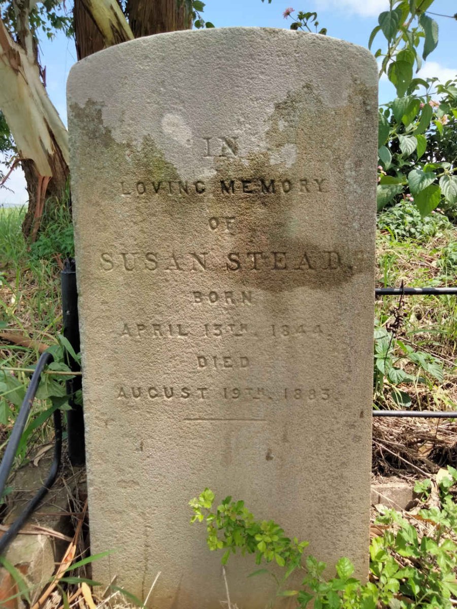 STEAD Susan 1844-1883