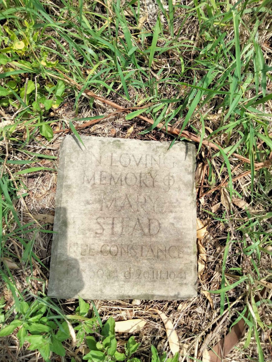 STEAD Mary nee CONSTANCE 1860-1941