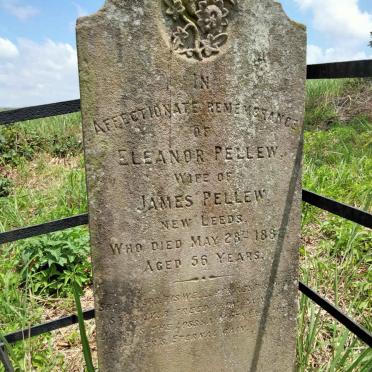 PELLEW Eleanor -1882